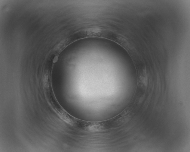 X0000051920468200506241513
