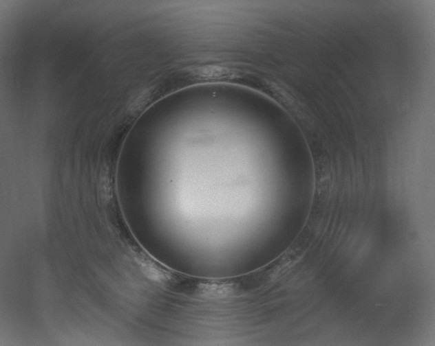 X0000051920469200506241513