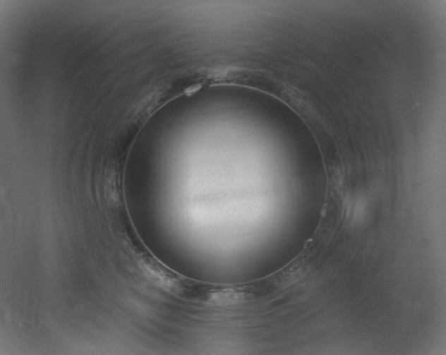 X0000051920470200506241513