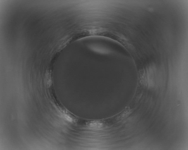 X0000051920471200506241513