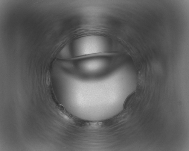 X0000051920474200506241514