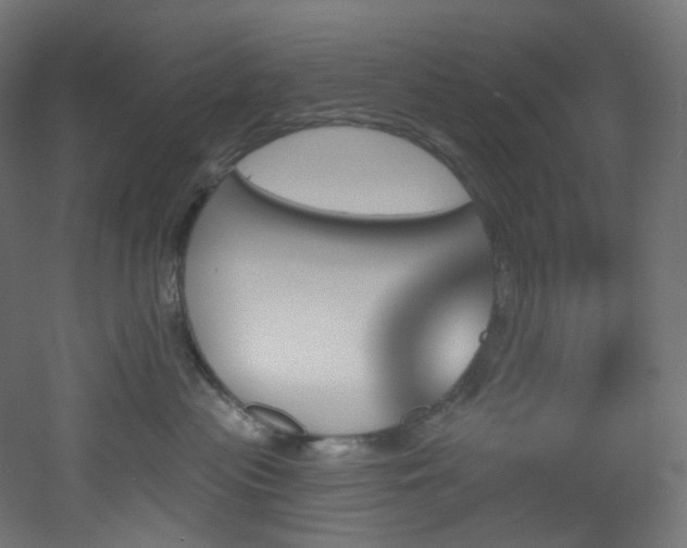 X0000051920477200506241514