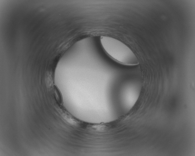X0000051920478200506241514