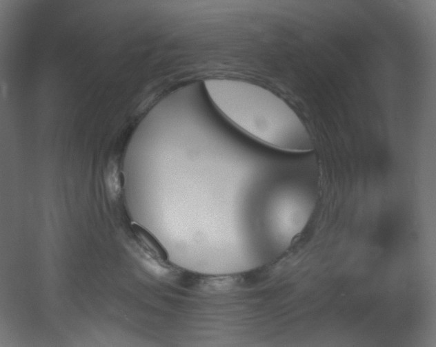 X0000051920479200506241514