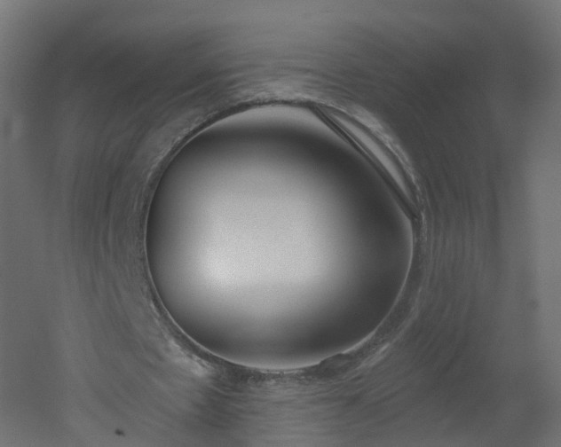 X0000051920481200506241513