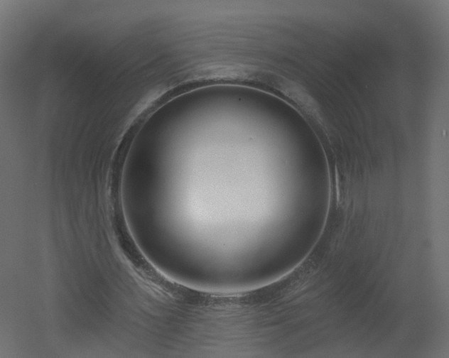 X0000051920483200506241513