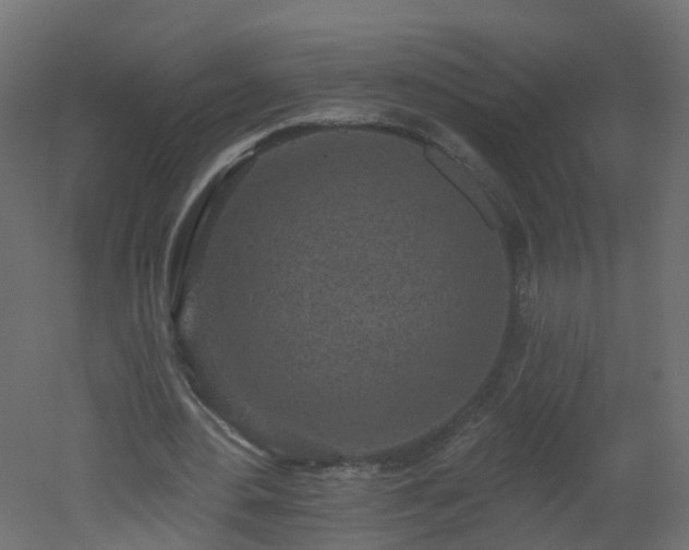 X0000051920484200506241513