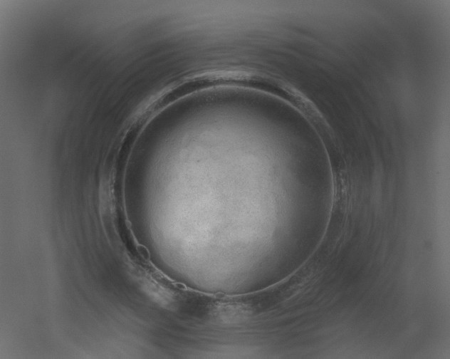 X0000051920487200506241513