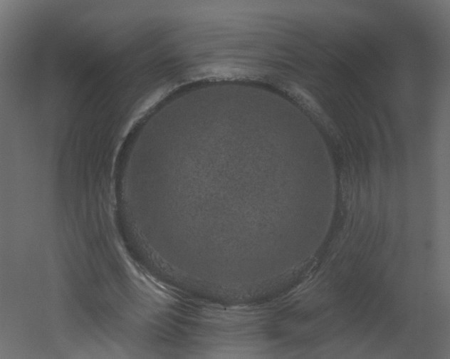 X0000051920488200506241513