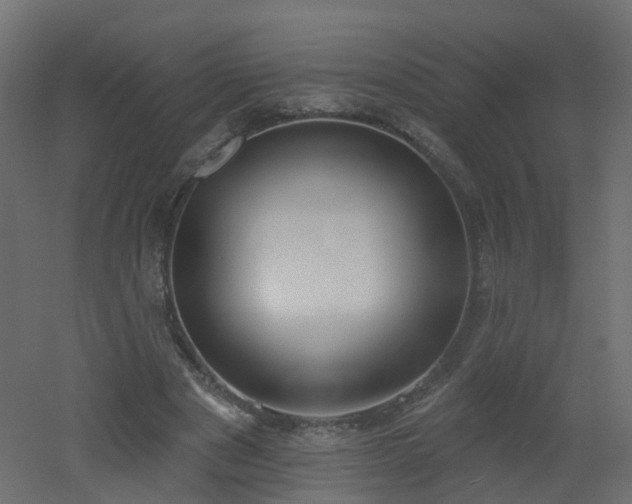X0000051920489200506241513