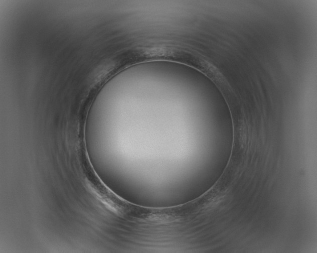 X0000051920490200506241513