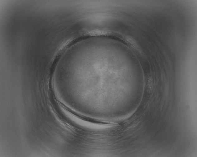 X0000051920491200506241513