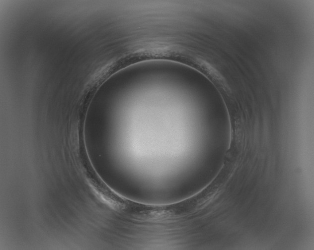 X0000051920493200506241513