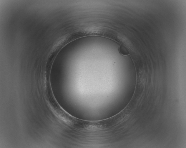 X0000051920494200506241513