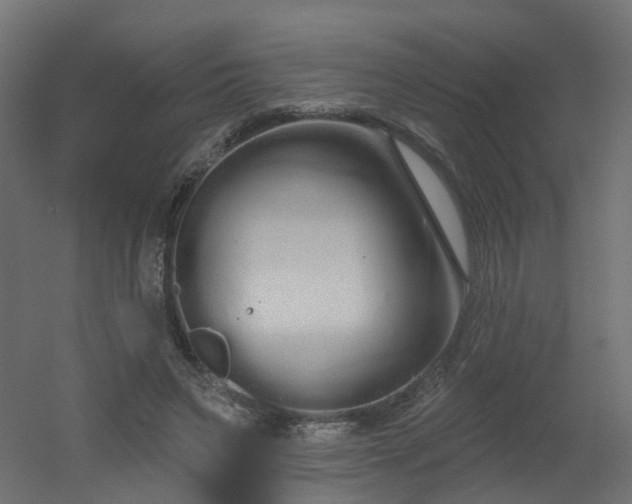 X0000051920495200506241513
