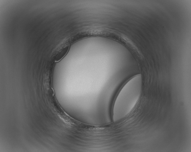 X0000051920497200506241513