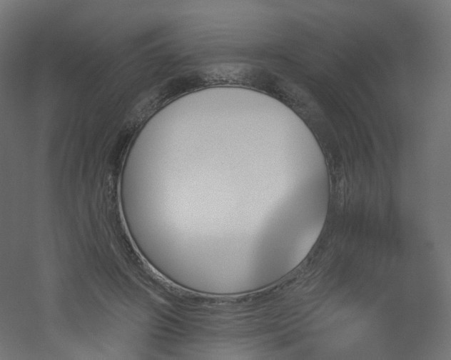 X0000051920498200506241513