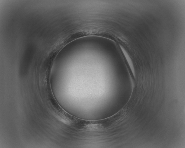 X0000051920499200506241513