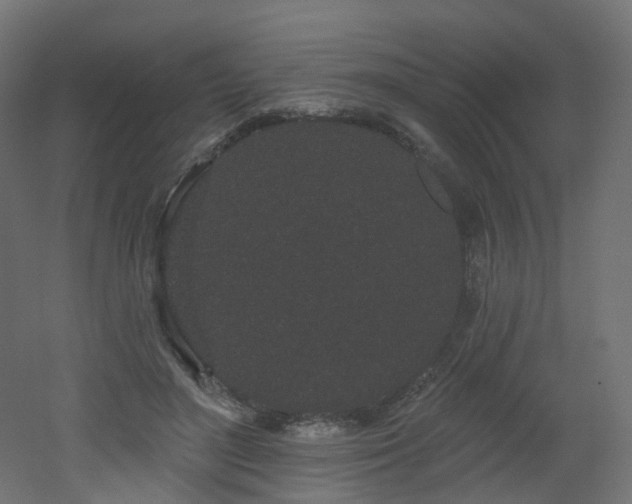 X0000051920500200506241512