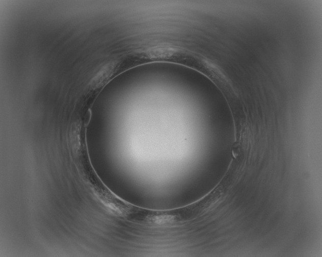 X0000051920501200506241512