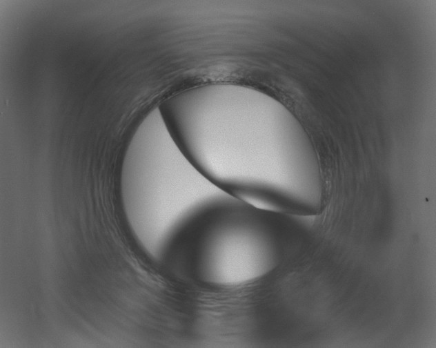 X0000051920503200506241512