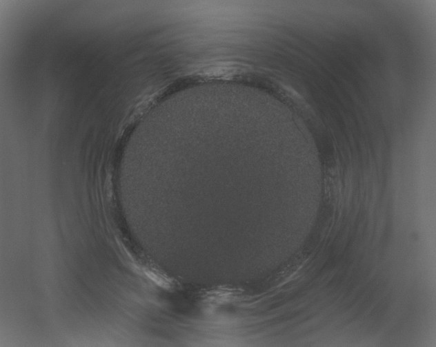 X0000051920504200506241512