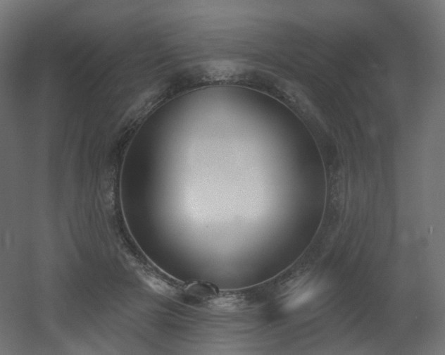 X0000051920505200506241512