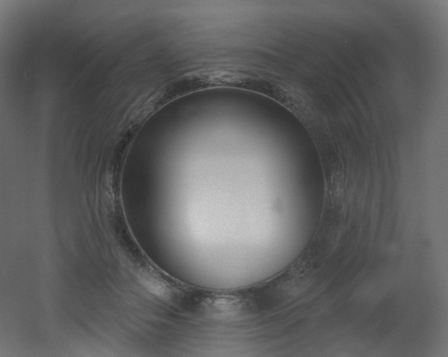 X0000051920506200506241512