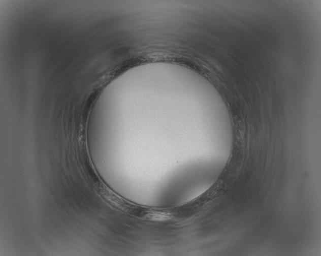 X0000051920507200506241512