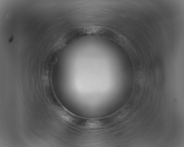 X0000051920510200506241512