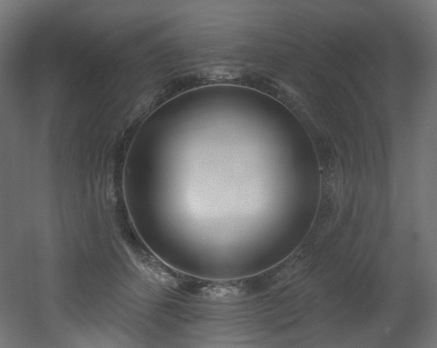 X0000051920512200506241512