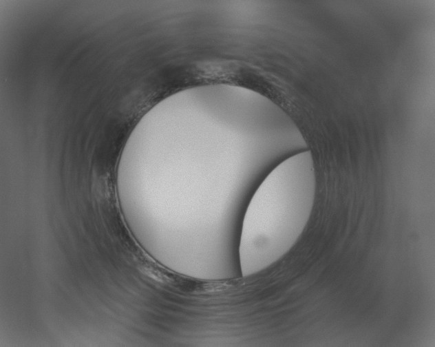 X0000051920514200506241512