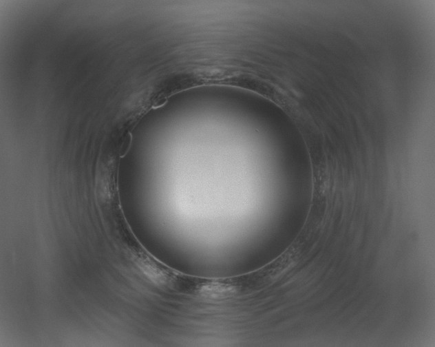 X0000051920515200506241512
