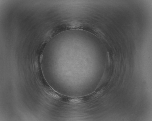X0000051920516200506241512
