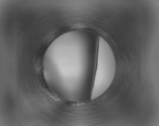 X0000051920517200506241512