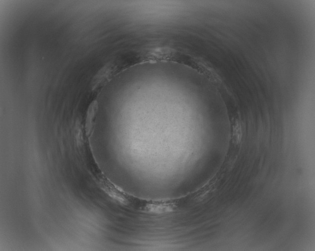 X0000051920520200506241512