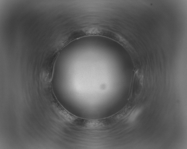 X0000051920521200506241512