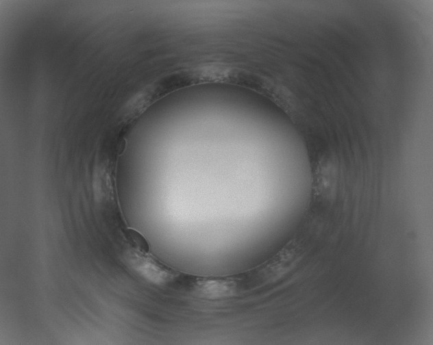 X0000051920522200506241512