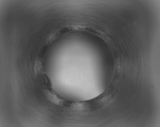 X0000051920523200506241512