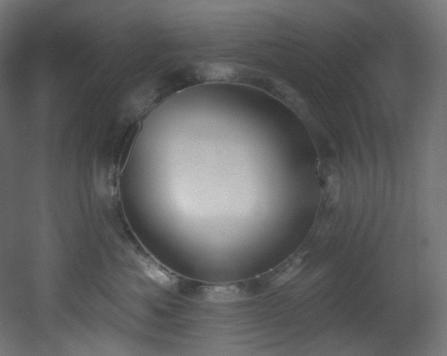 X0000051920525200506241512
