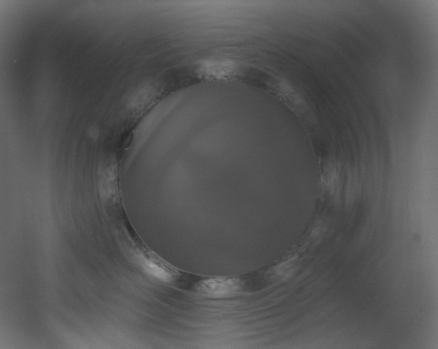 X0000051920526200506241512