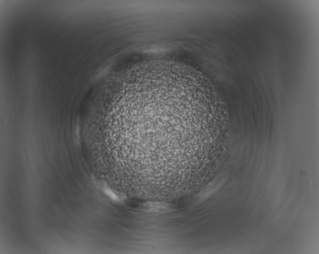 X0000051920528200506241512