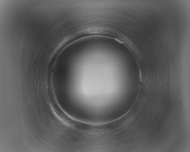 X0000051920530200506241511