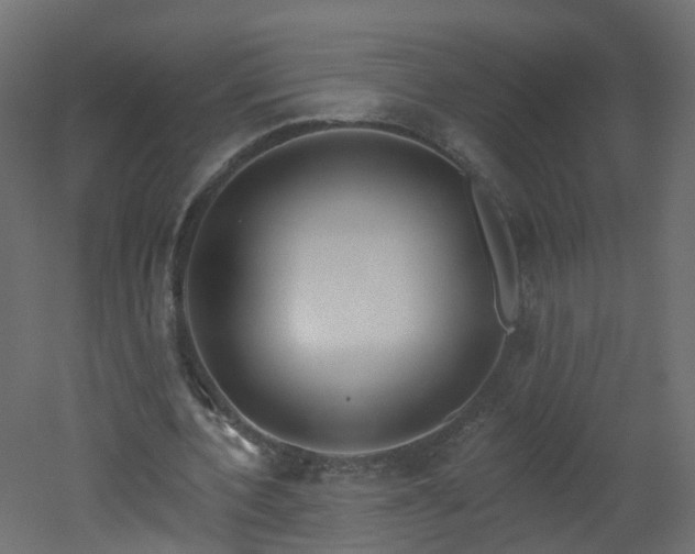 X0000051920532200506241511