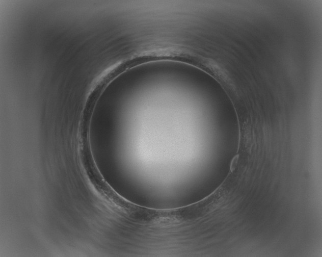 X0000051920536200506241511