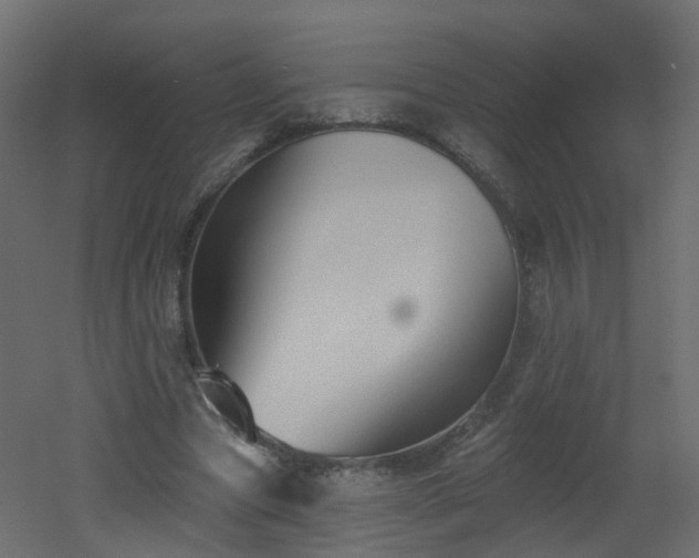 X0000051920537200506241511