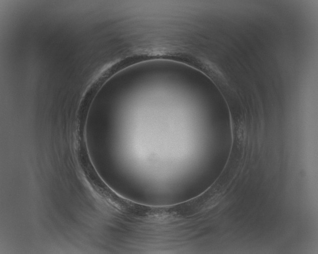 X0000051920540200506241511