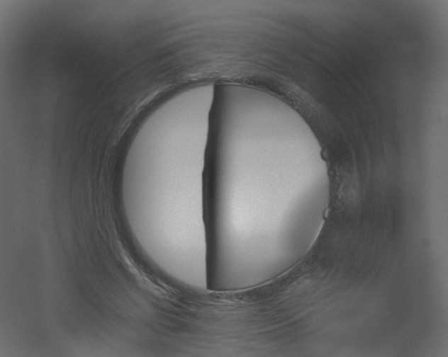X0000051920542200506241511