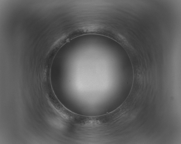 X0000051920543200506241511