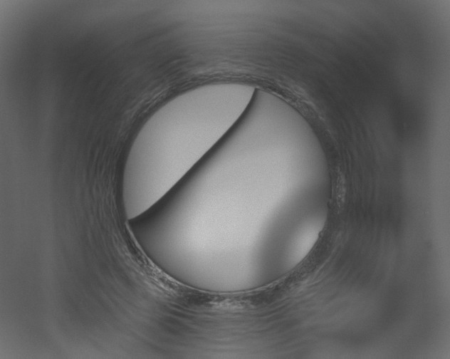 X0000051920545200506241511